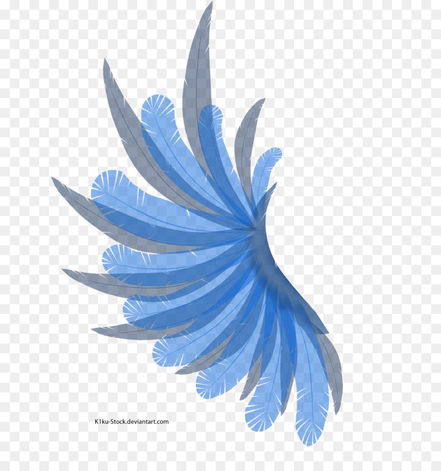 Pluma，Pájaro PNG