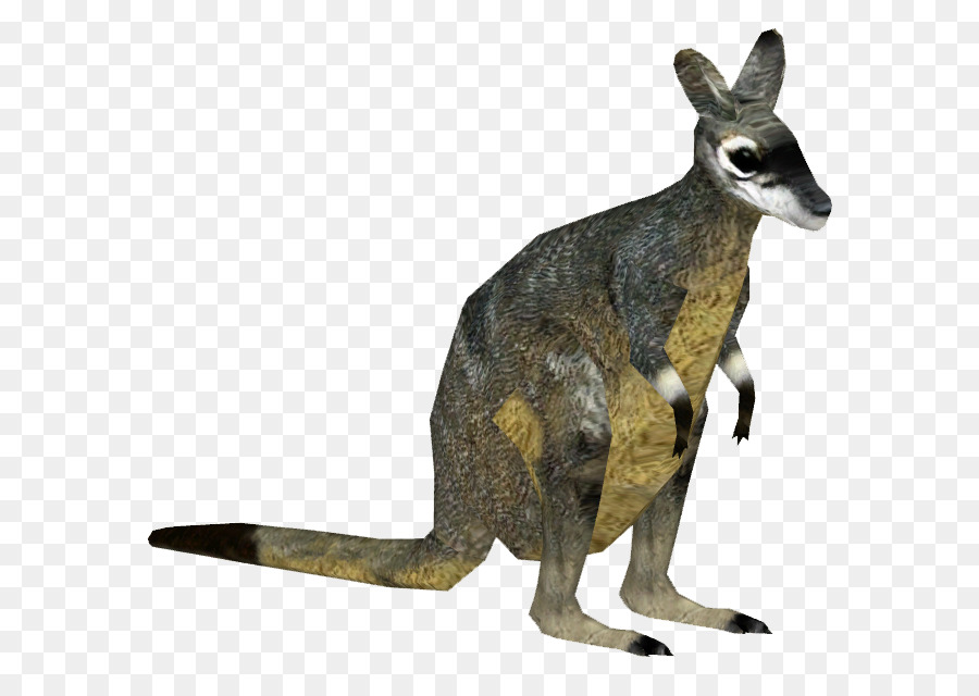 Canguro，Marsupial PNG