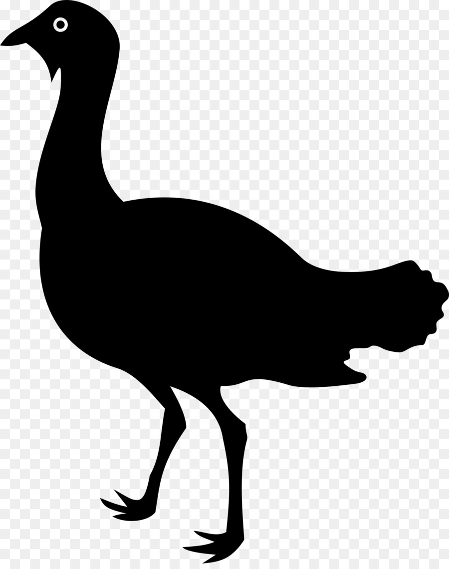 Pájaro，Pato PNG