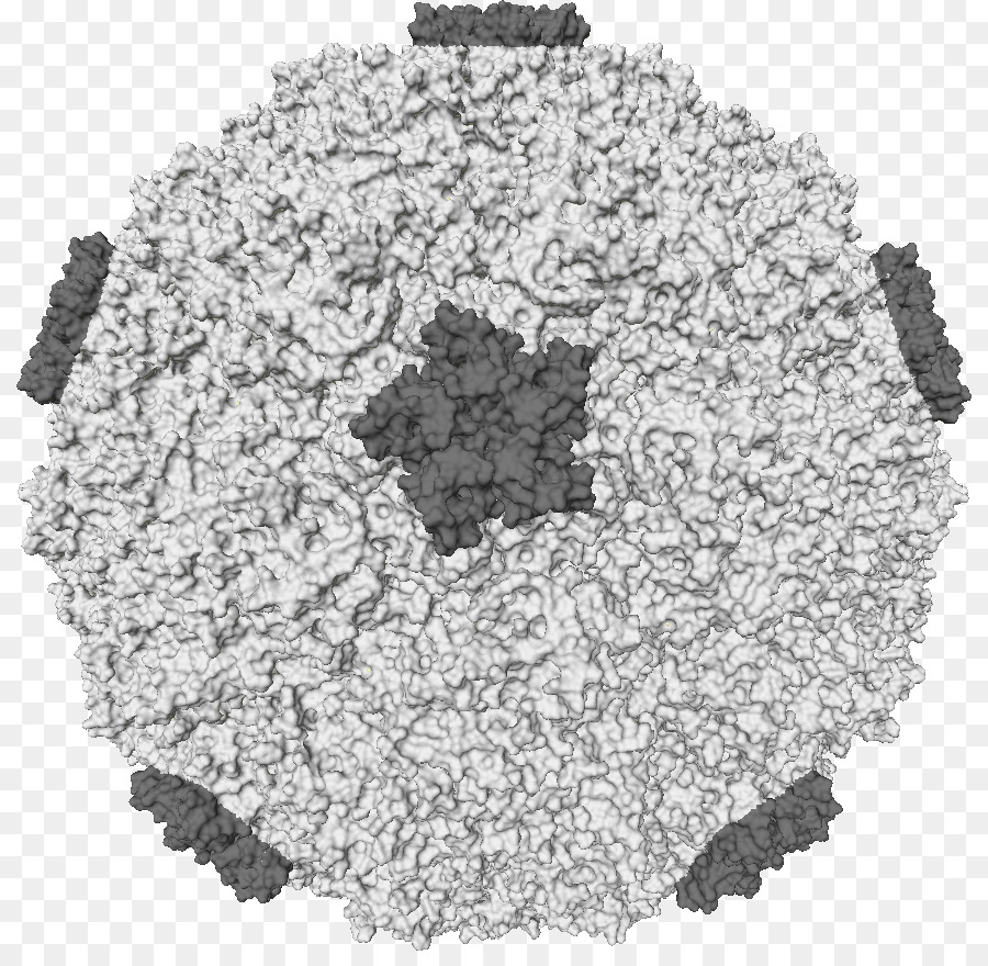 Virus，Microscópico PNG