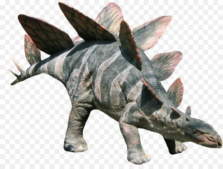 Tiranosaurio，Dinosaurio PNG