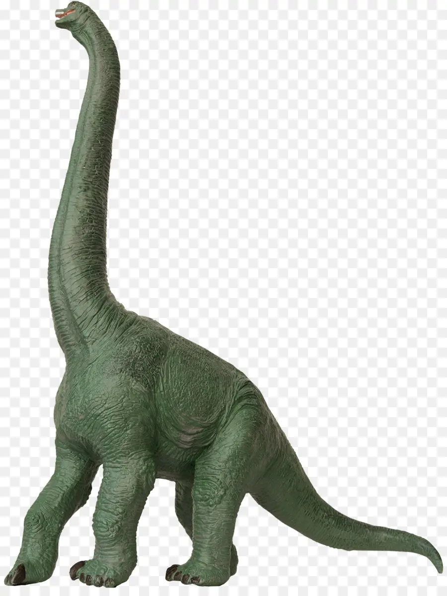 Rey Dinosaurio，Brachiosaurio PNG