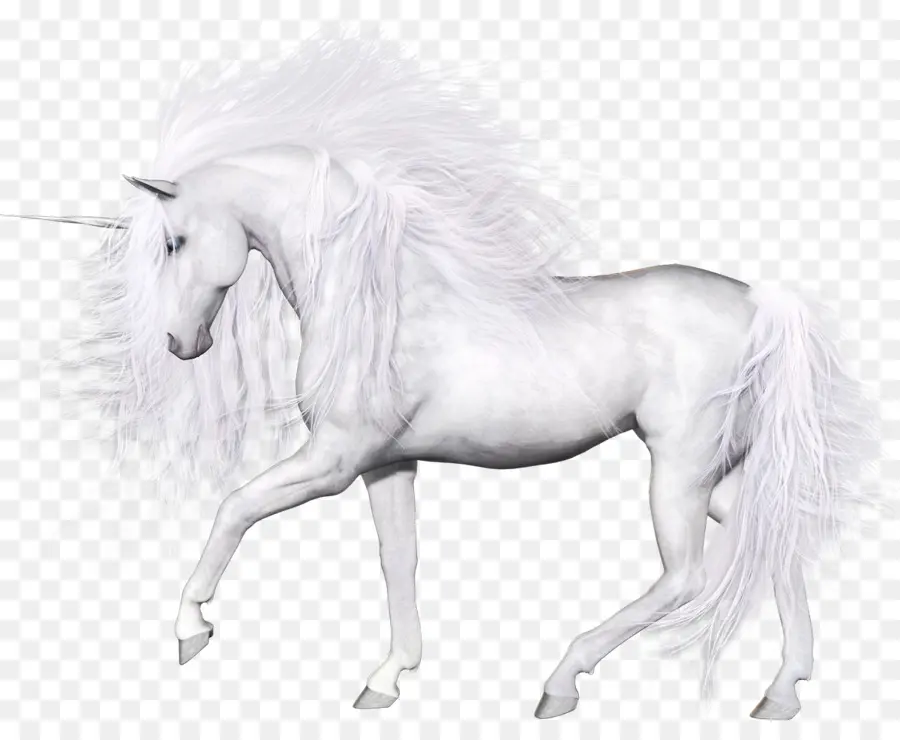 Caballo，Unicornio PNG