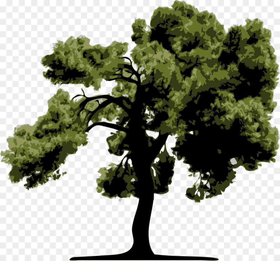 Árbol，Naturaleza PNG