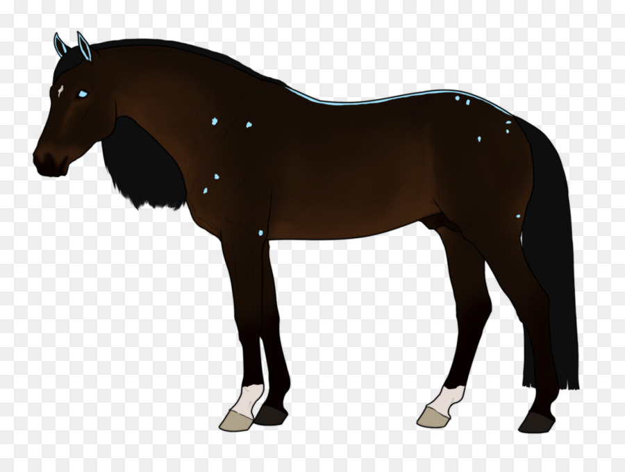 Caballo De Fantasía，Melena PNG