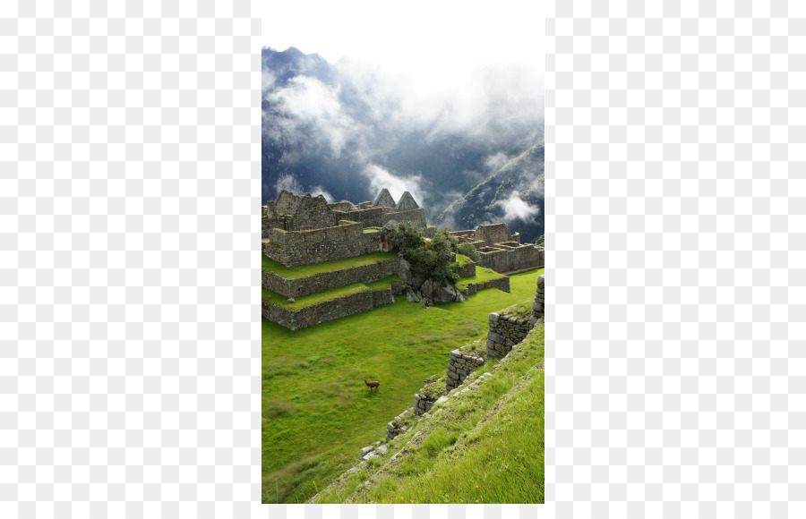 Machu Picchu，Cúsa PNG