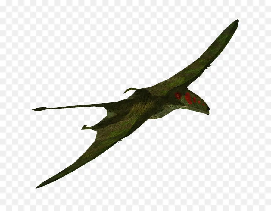 Pterosaurio，Vuelo PNG