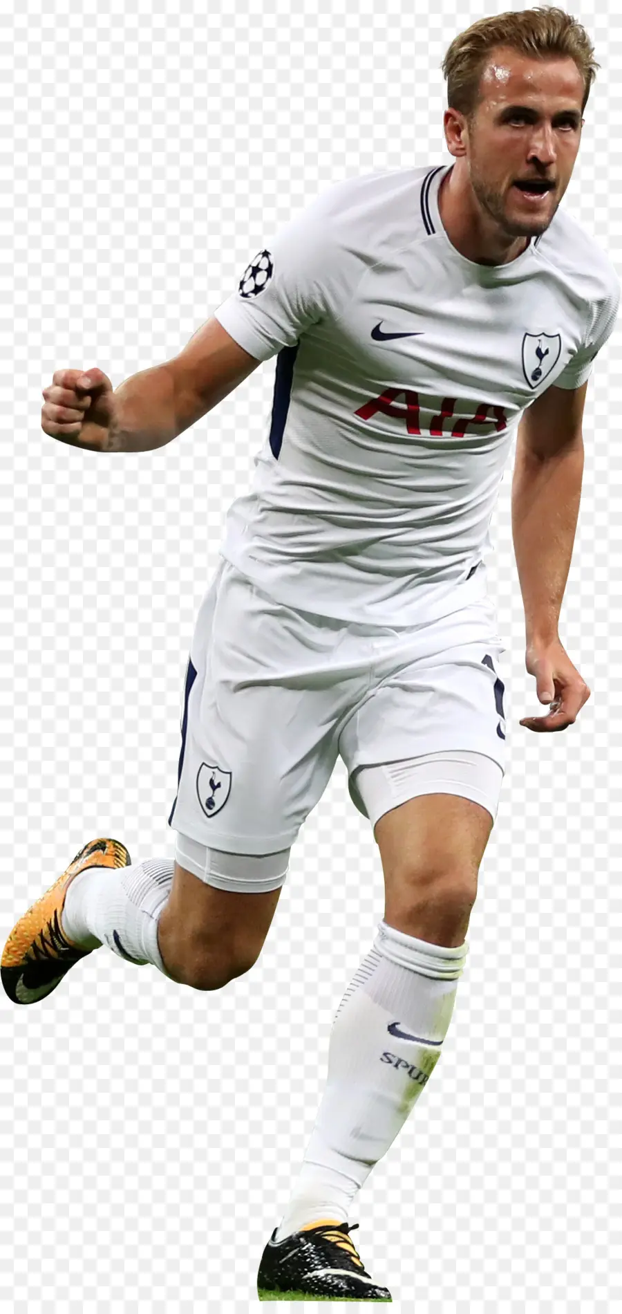 Harry Kane，El Tottenham Hotspur Fc PNG