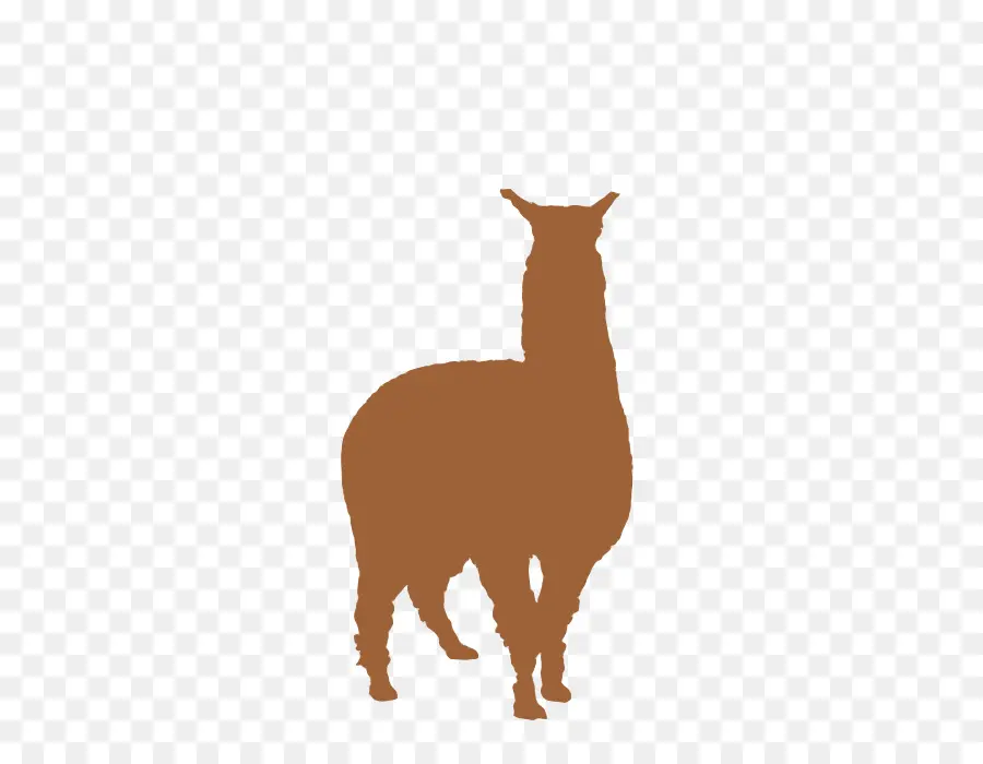 Llama，Guanaco PNG