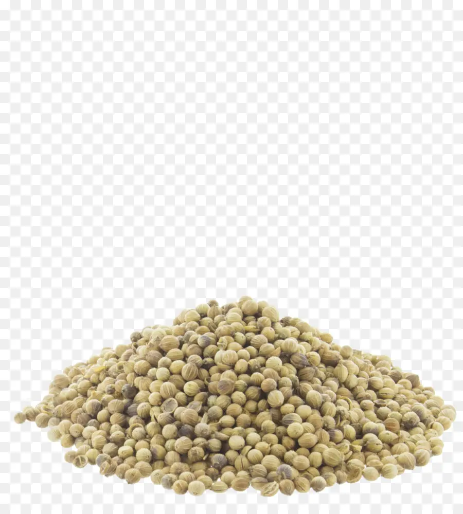 Semillas De Cilantro，Hierbas PNG