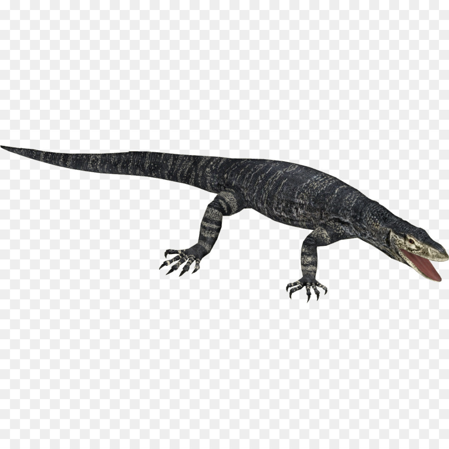 Cocodrilo Negro，Reptil PNG