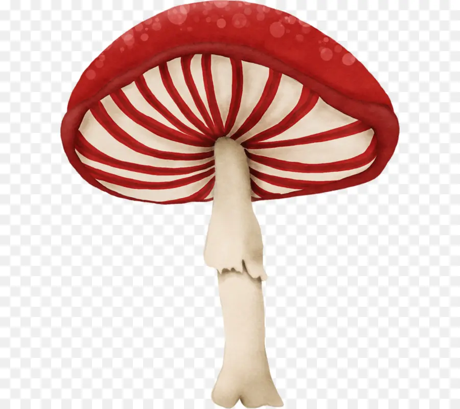 Champiñón，Rojo PNG