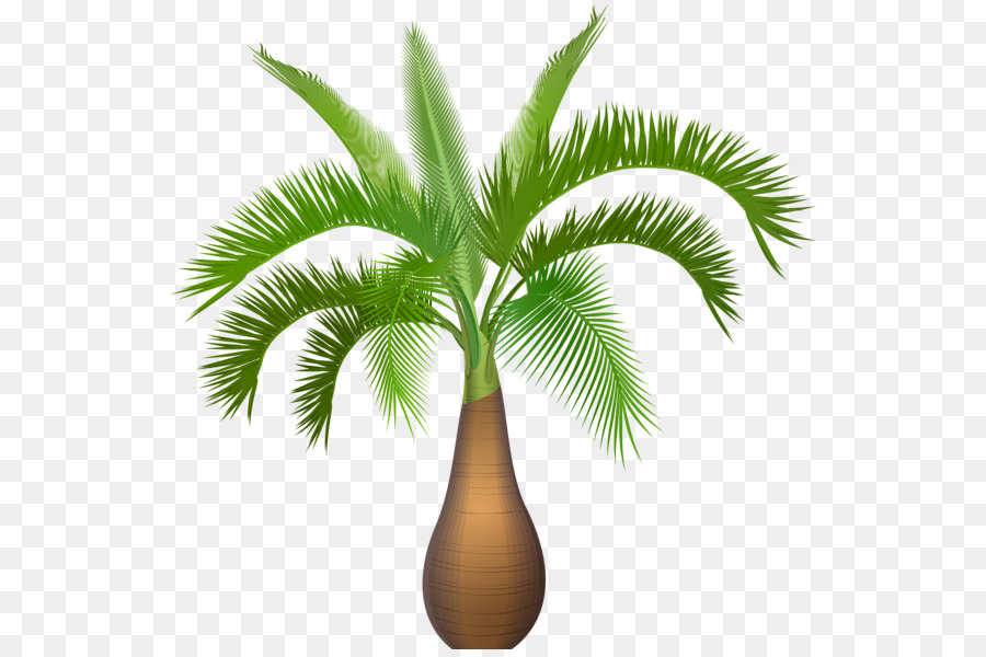 Arecaceae，árbol PNG