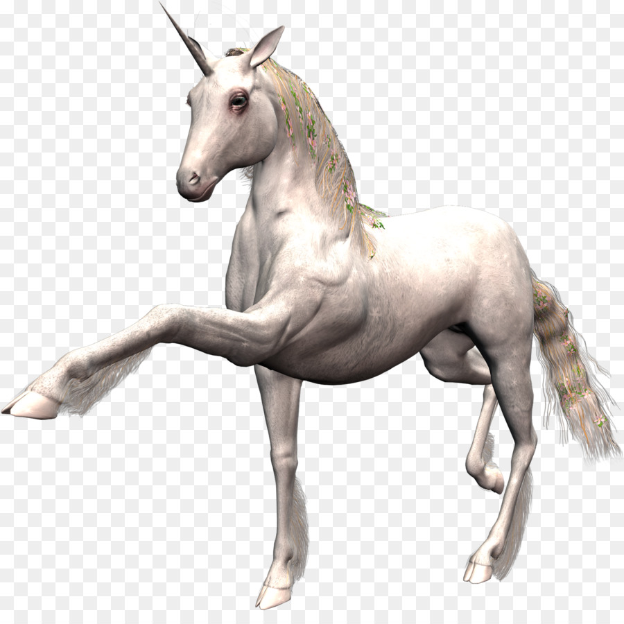 Caballo，Unicornio PNG