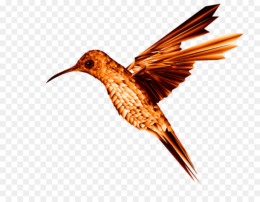 Pájaro，Colibrí PNG