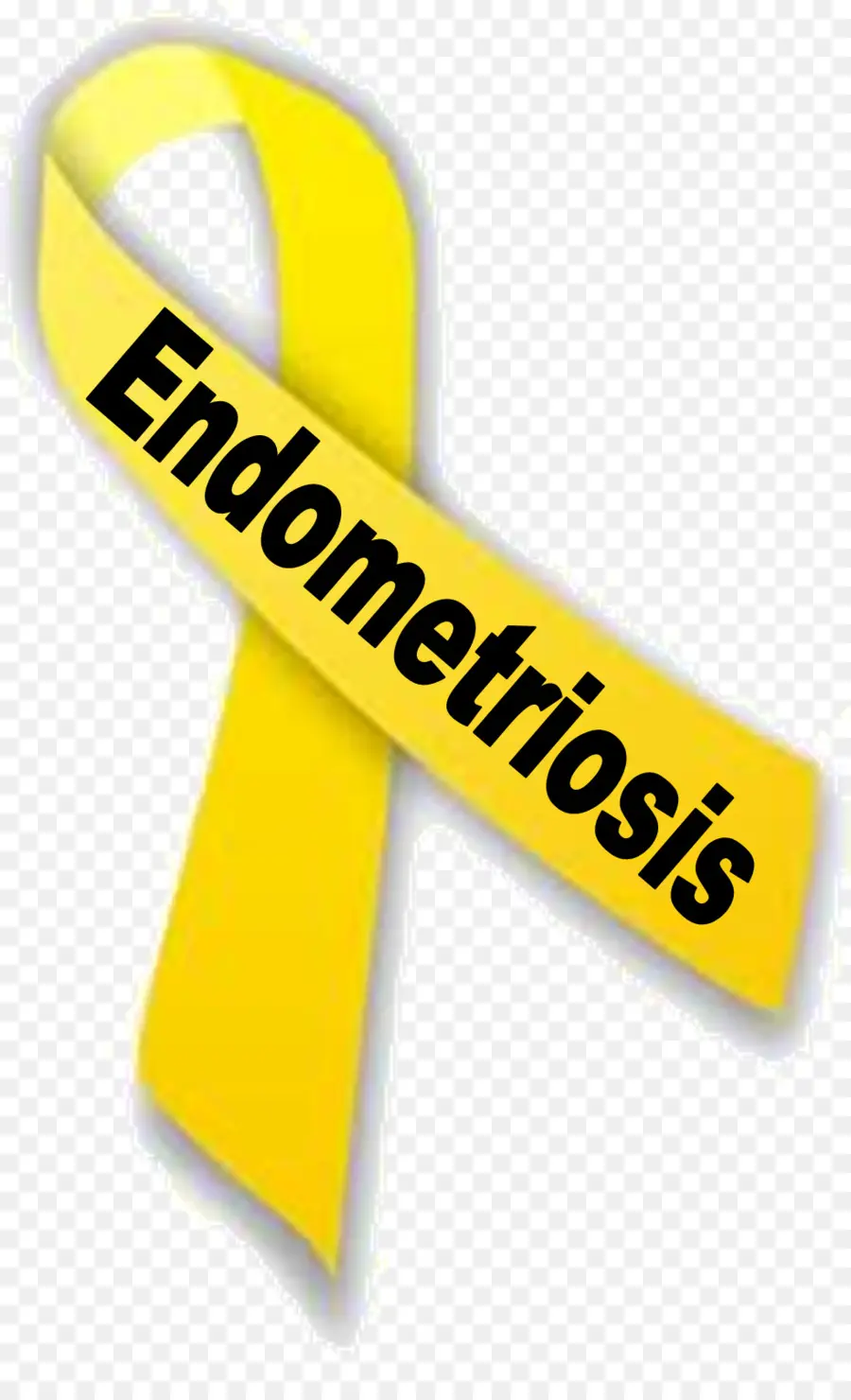 La Endometriosis，Endometrio PNG