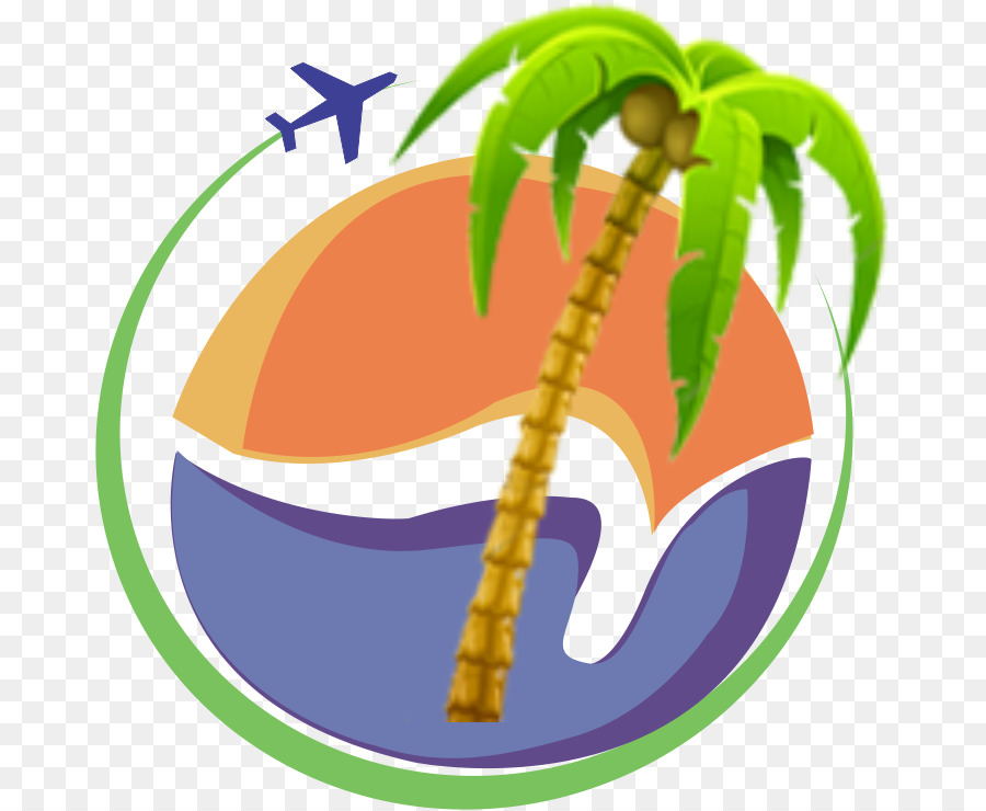 Coco，Arecaceae PNG