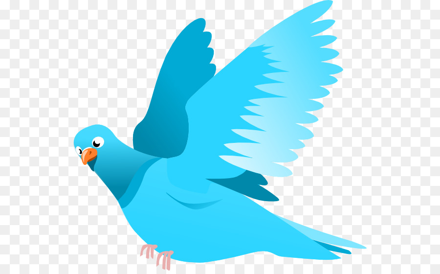 Pájaro Azul，Vuelo PNG