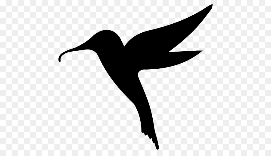 Colibrí，Iconos De Equipo PNG