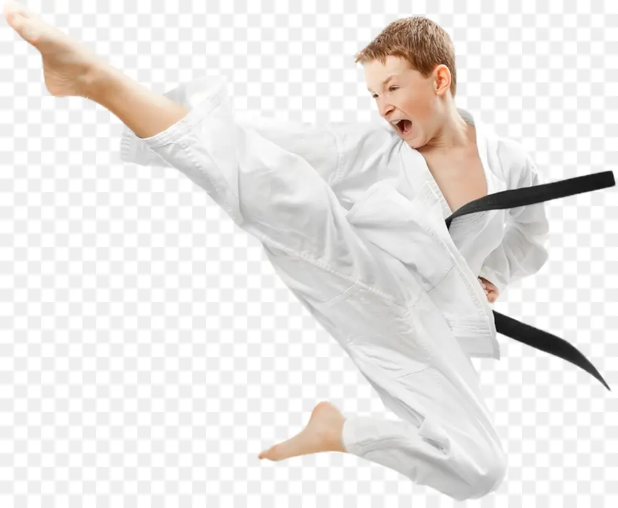 Karate，Las Artes Marciales PNG