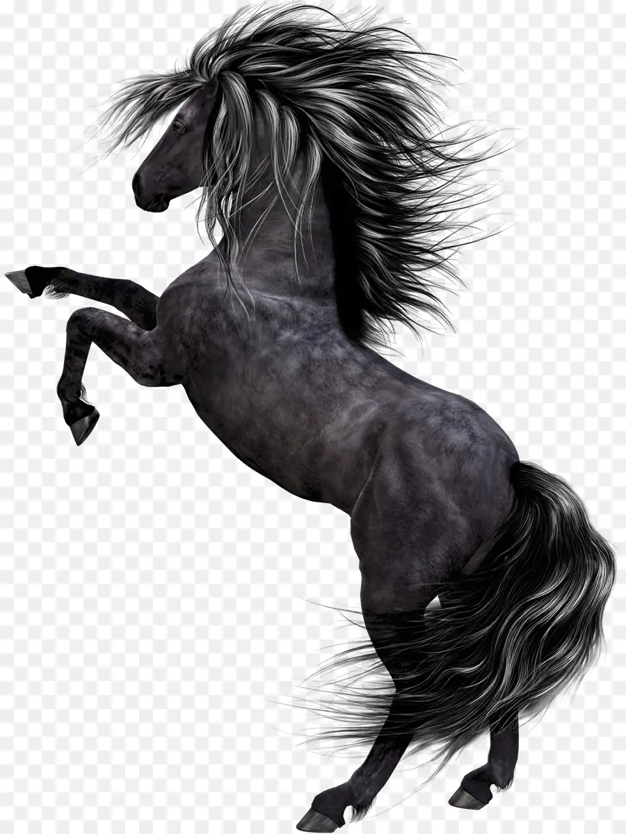 Caballo，Pony PNG