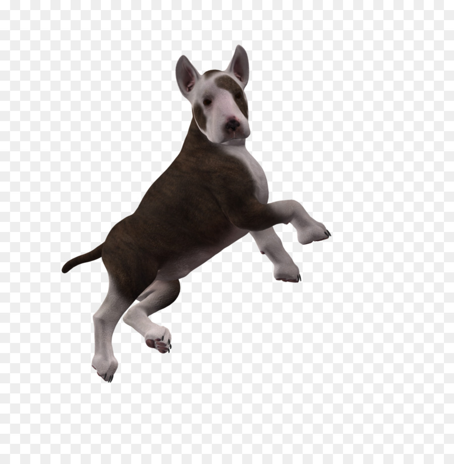 Perro，Cachorro PNG