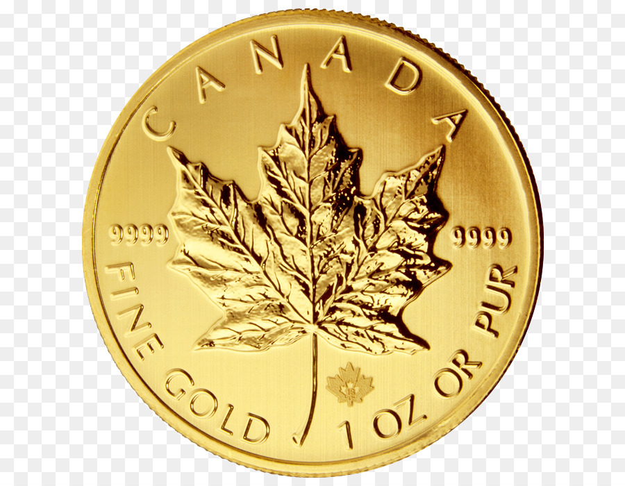 Canadiense De Oro De La Hoja De Arce，La Moneda De Oro PNG