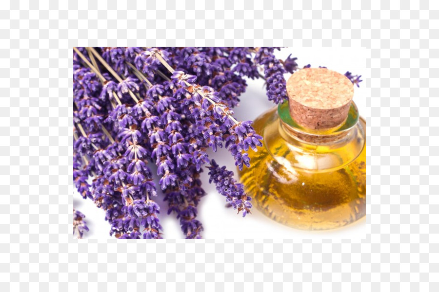 El Aceite De Lavanda，Aceite Esencial PNG