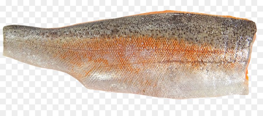 La Trucha De Mar，Los Peces PNG