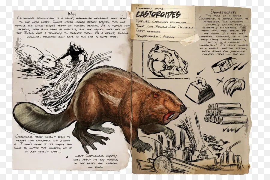 Arca De Supervivencia Evolucionado，Beaver PNG