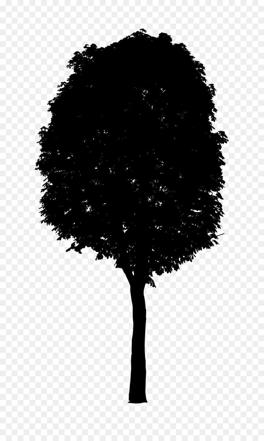 Silueta De Arbol，Negro PNG