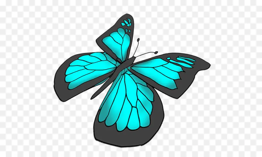 Mariposa，Ulises PNG