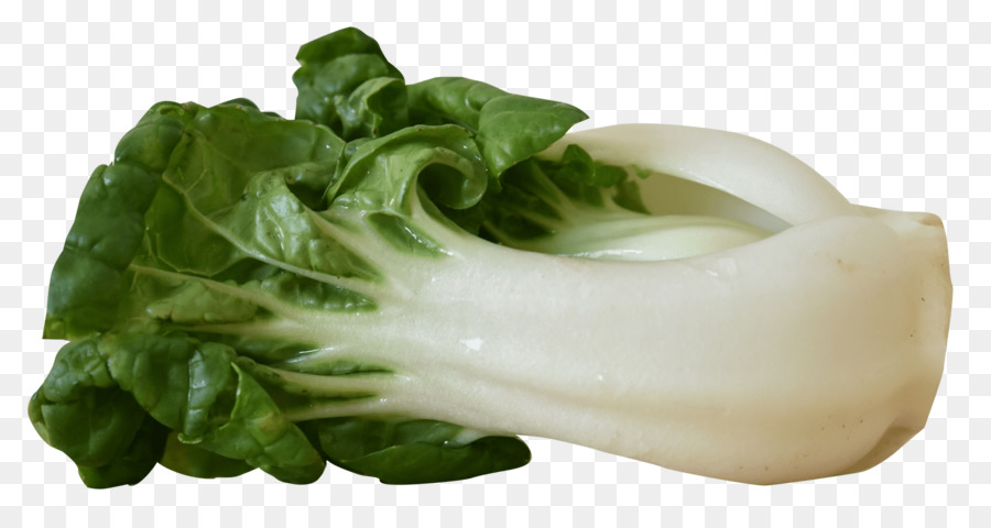 Vegetal，Bok Choy PNG