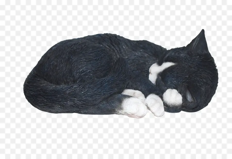 Gato Negro Durmiendo，Mascota PNG