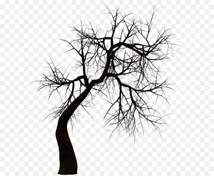 Kuntilanak Terbang，árbol PNG