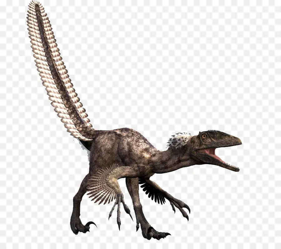 Deinonychus，Dromaeosaurus PNG