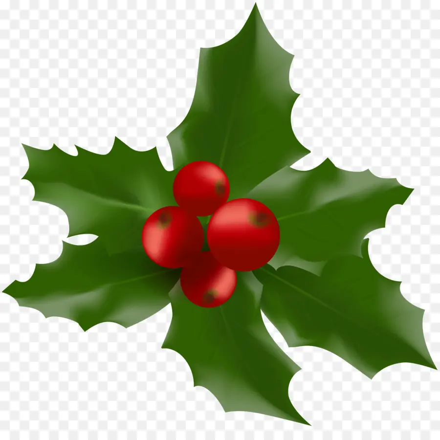 Bastón De Caramelo，Común Holly PNG