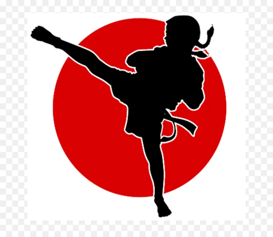 Silueta De Kárate，Artes Marciales PNG