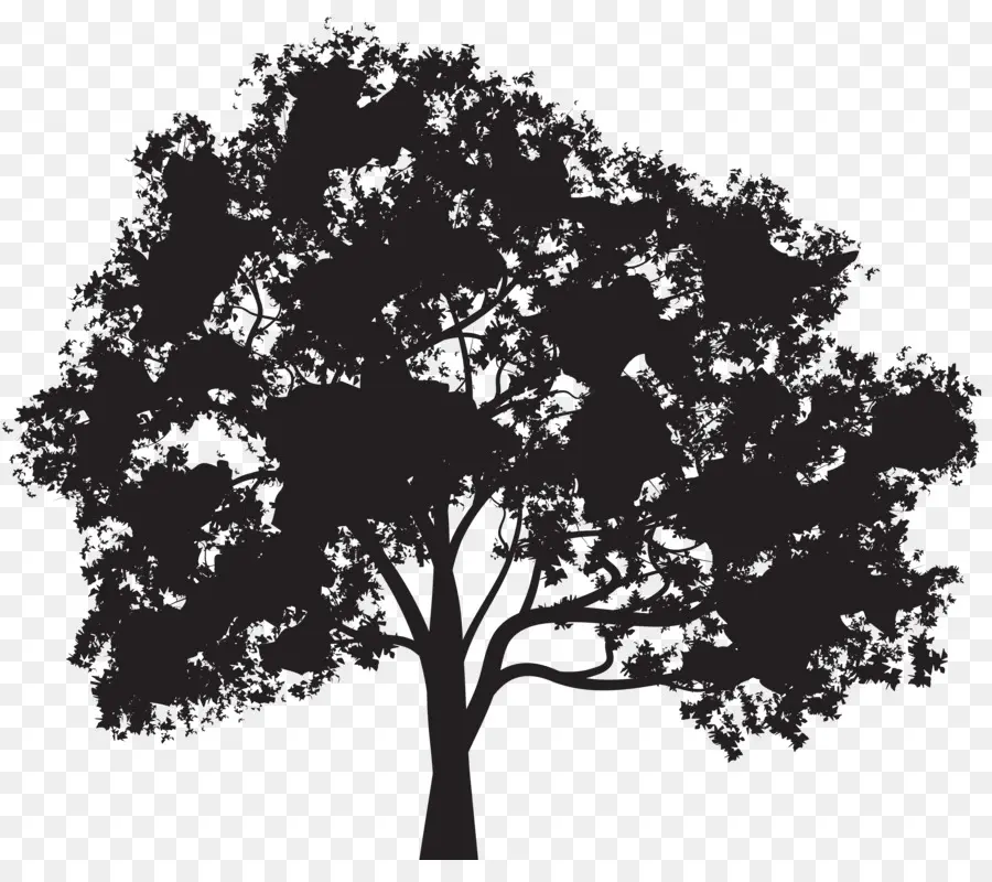 árbol，Silueta PNG