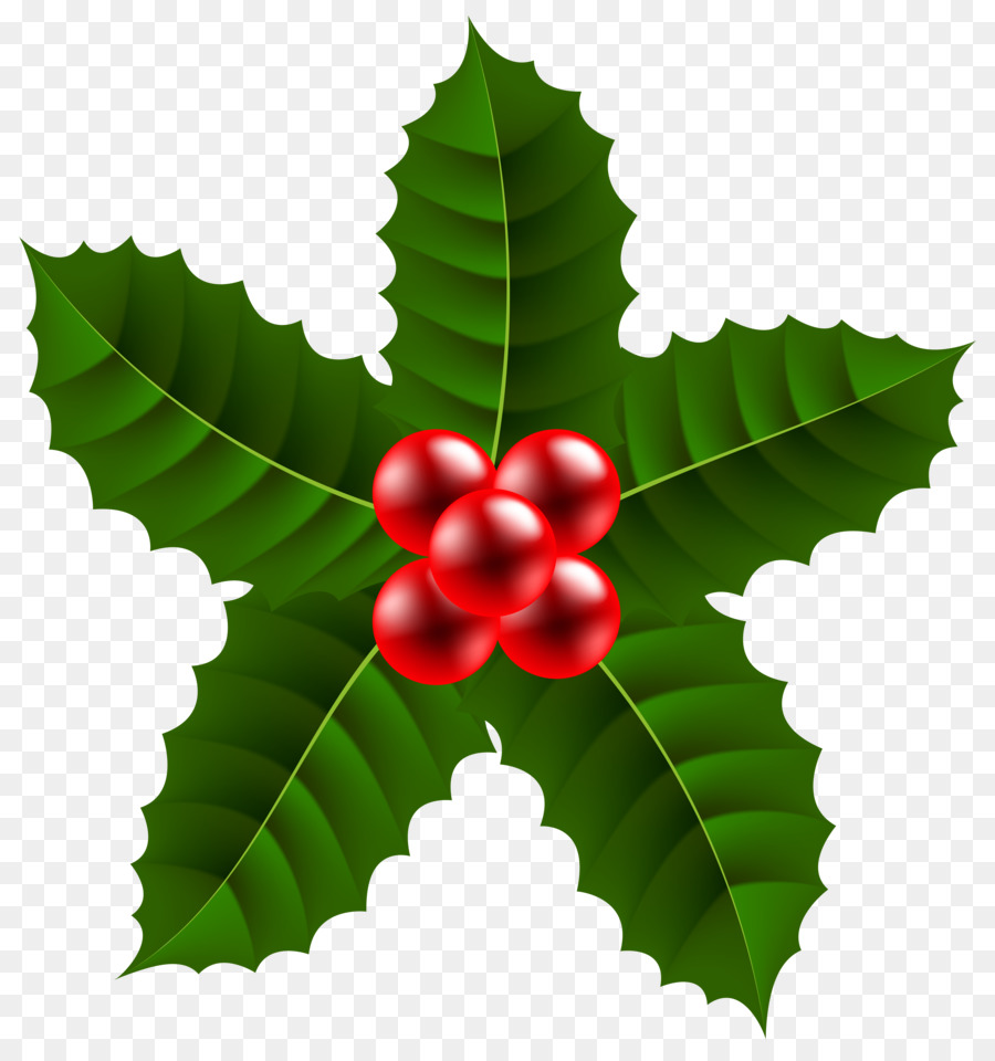 Hojas Y Bayas De Acebo，Navidad PNG