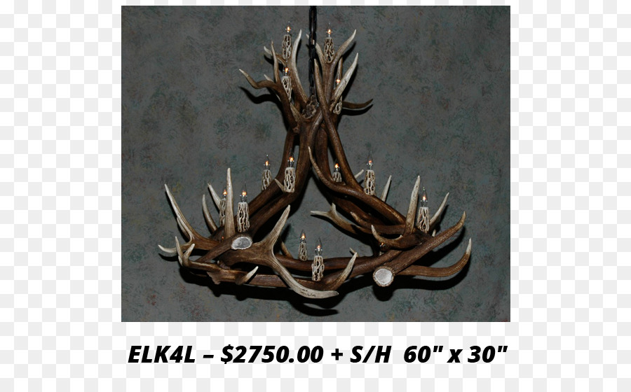 Elk，Los Ciervos PNG