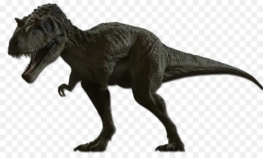 Dinosaur King，Albertosaurus PNG