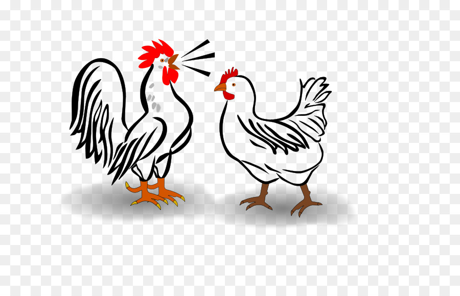 Houdan De Pollo，Pollo Leghorn PNG