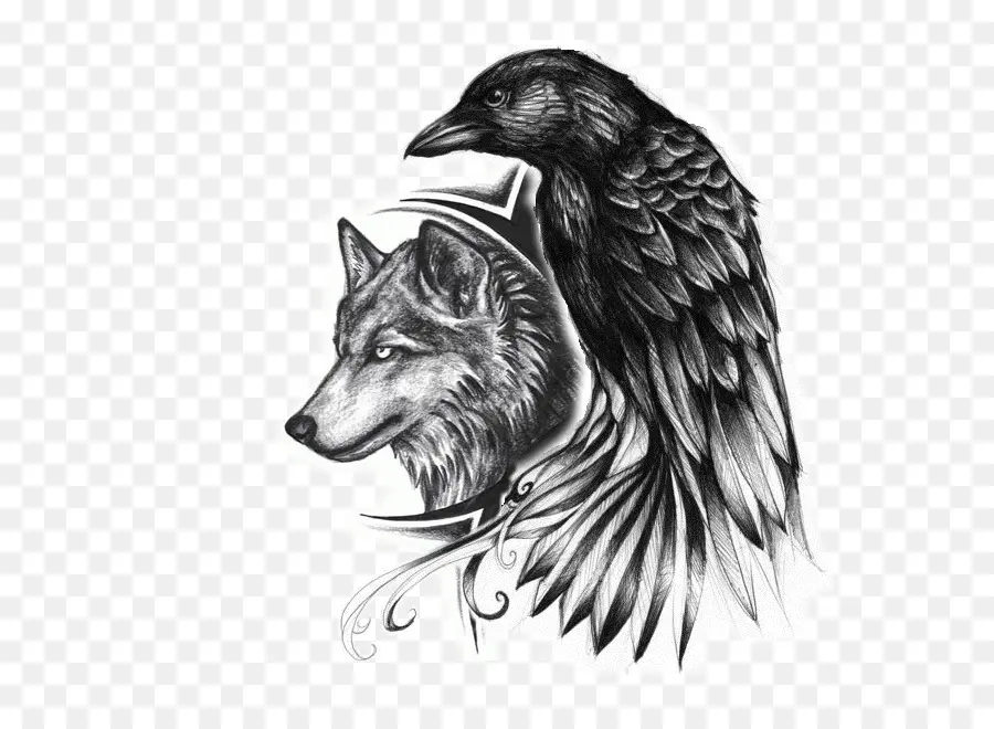 Lobo Y Cuervo，Naturaleza PNG