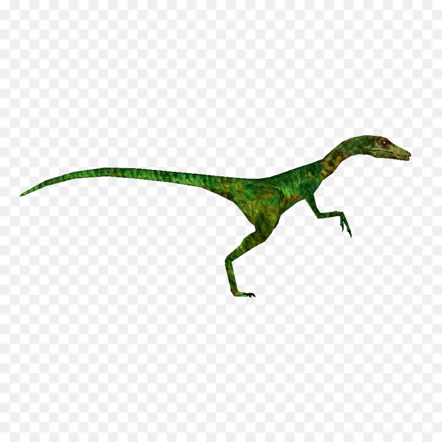 Compsognathus，Mundo Perdido PNG