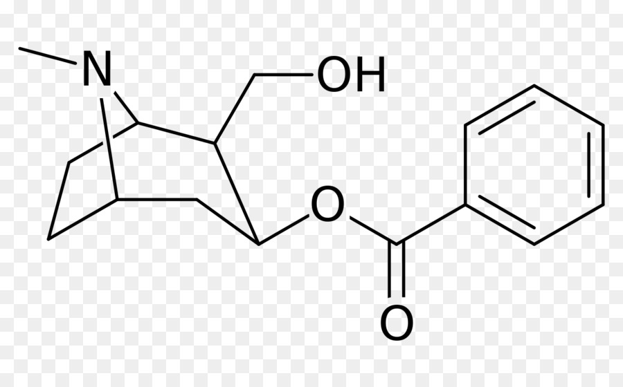 Estructura Química，Orgánico PNG