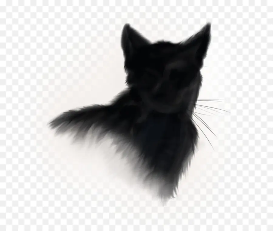 Gato Negro，Silueta PNG