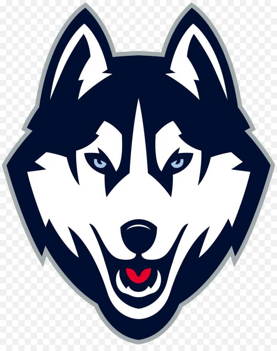 Connecticut Huskies Baloncesto Masculino，Connecticut Huskies De Fútbol PNG