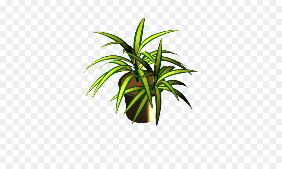 Planta En Maceta，Planta PNG