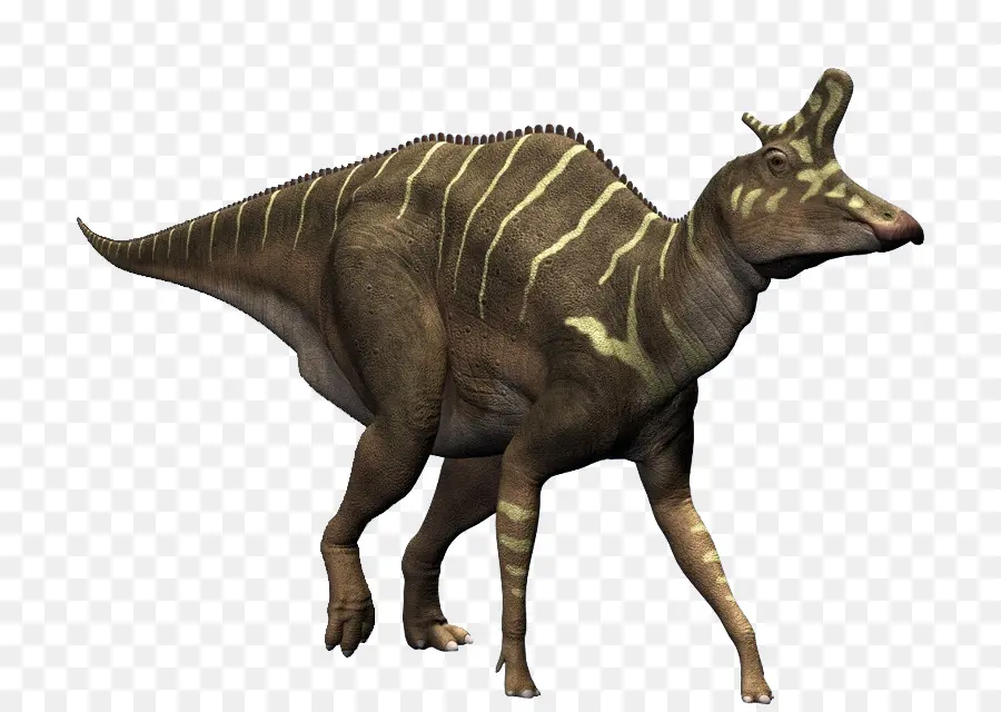 Lambeosaurus，Dicraeosaurus PNG